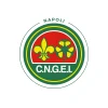 Logo scout